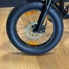 Fatbike AGM GT 250